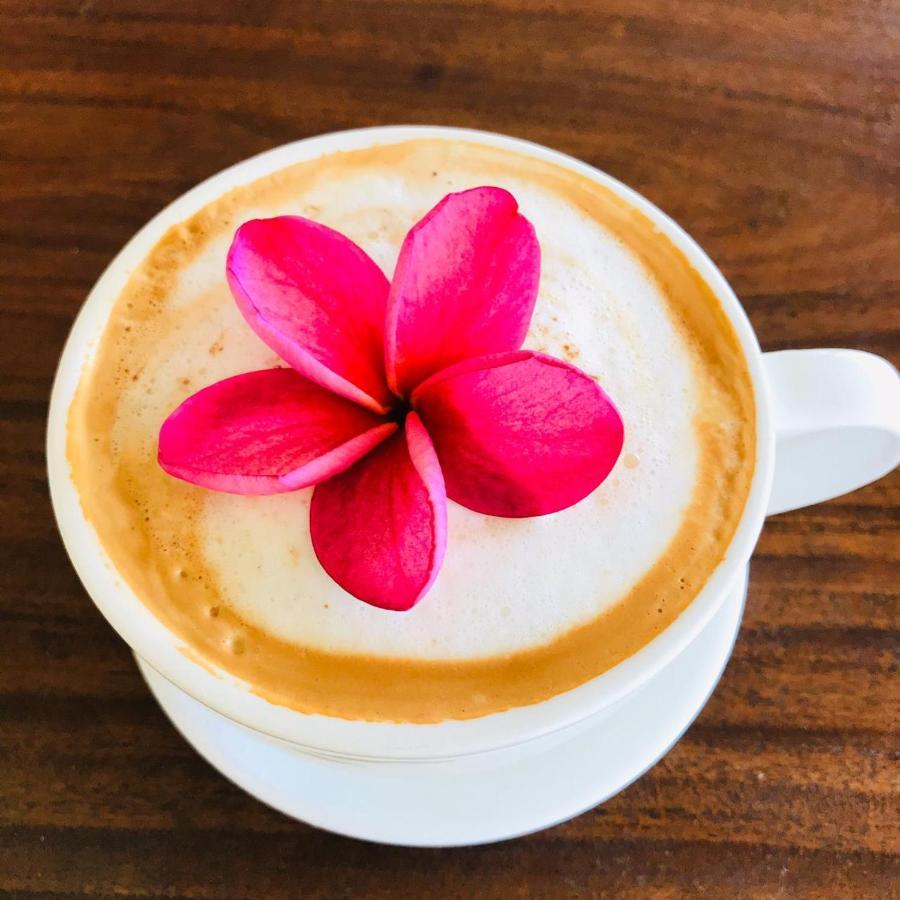 Cafe De La Suerte Villa Pavones  Ngoại thất bức ảnh