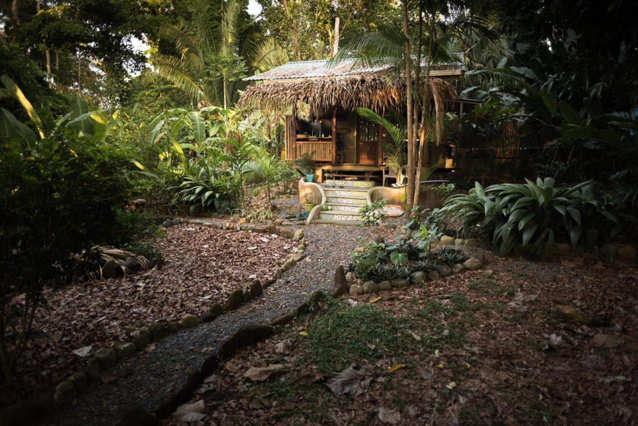 Cafe De La Suerte Villa Pavones  Ngoại thất bức ảnh