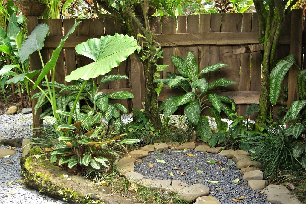 Cafe De La Suerte Villa Pavones  Ngoại thất bức ảnh